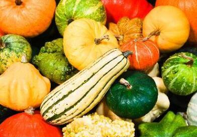 食品安全檢測(cè)儀