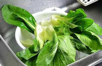 農(nóng)殘快速檢測儀 農(nóng)殘快速檢測儀