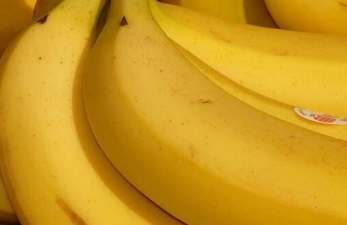 農(nóng)藥殘留檢測儀